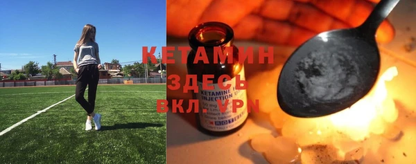 прущие грибы Балабаново