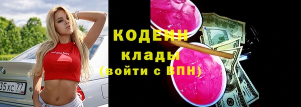 прущие грибы Балабаново