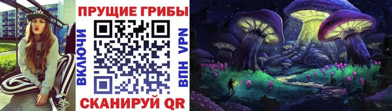 даркнет какой сайт Большой Камень Галлюциногенные грибы мицелий